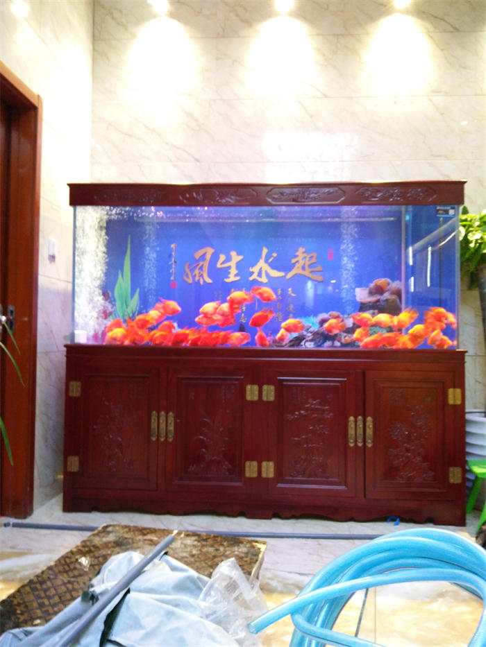 浙江龙鱼缸